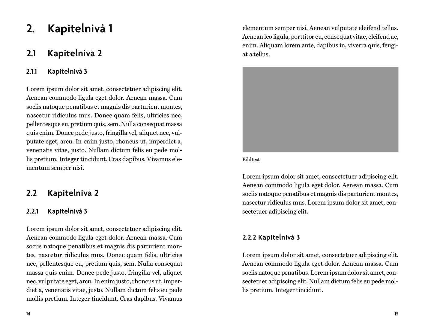 Exempel design facklitteratur akademisk variant modern