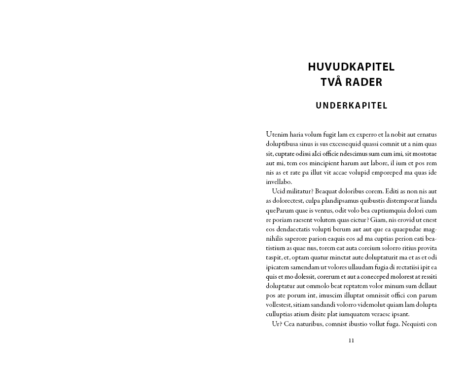 Exempel kapitel sida design skönlitteratur universal variant modern