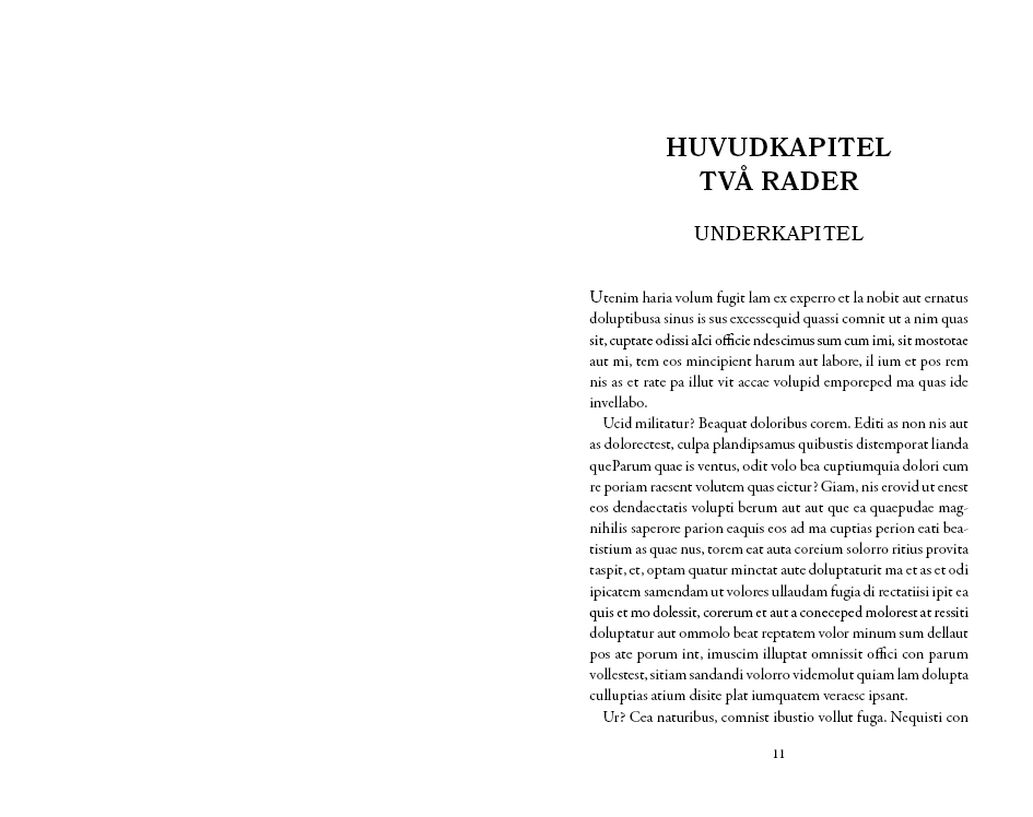 Exempel kapitel sida design skönlitteratur universal variant klassisk